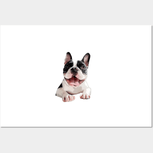 Boston Terrier Art Posters and Art